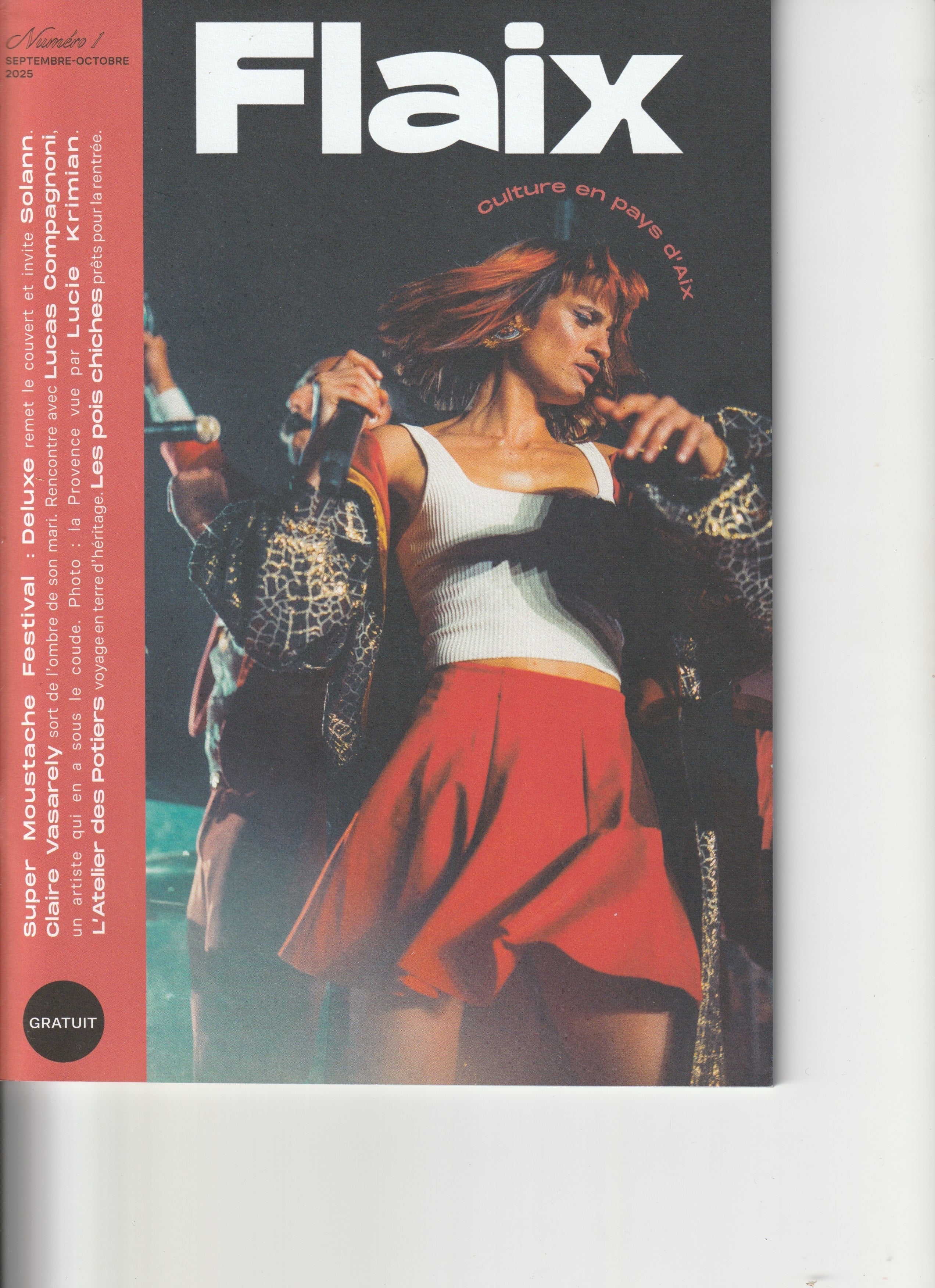 Article Fanfreluche Concept magazine Flaix