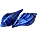 Sel poivre coquille bleu